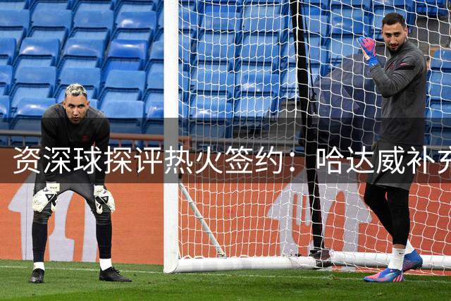 资深球探评热火签约：哈达威补充三分空缺