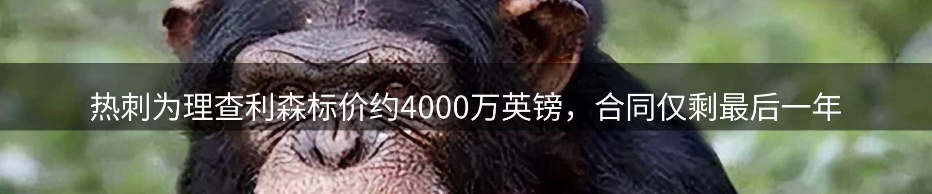 今日资讯