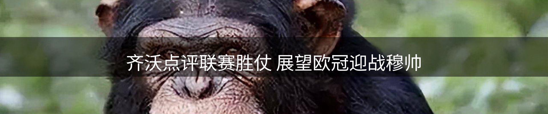 新闻指南